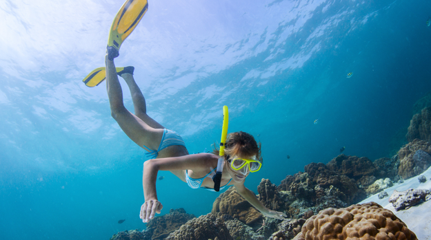 Scuba diver Scuba diver